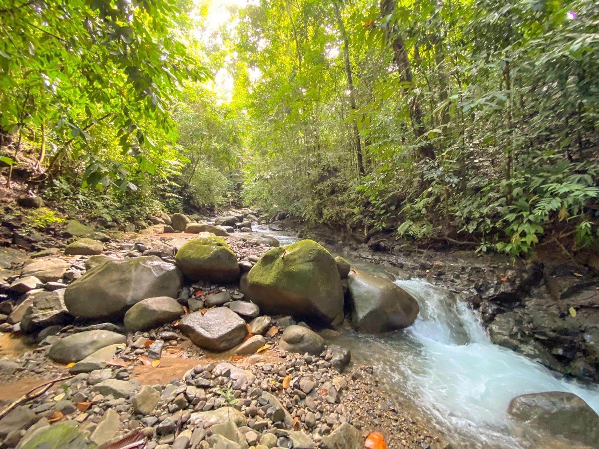 Casa River Stone Al Pie Del Rio Ojochal Eksteriør bilde