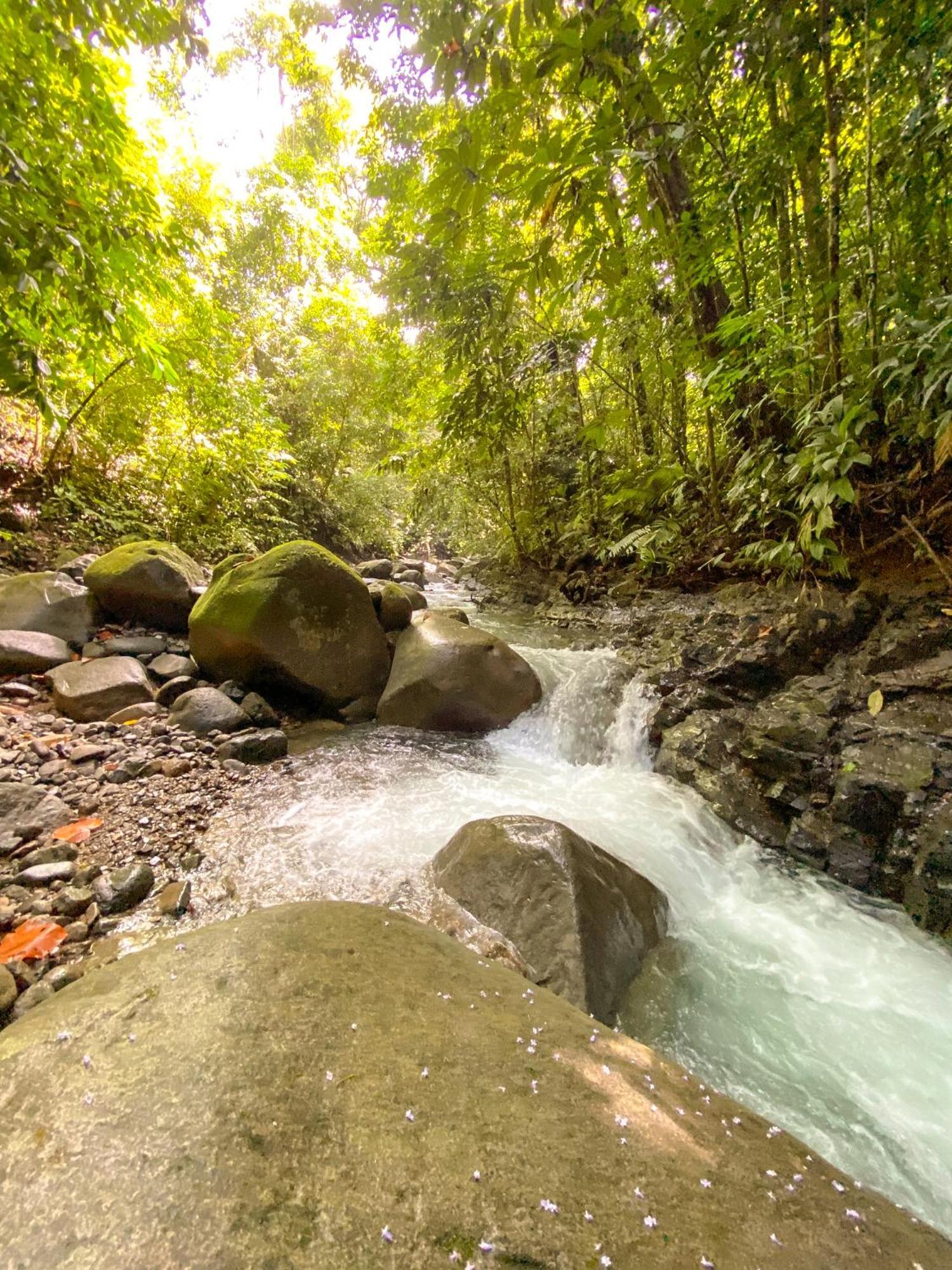 Casa River Stone Al Pie Del Rio Ojochal Eksteriør bilde