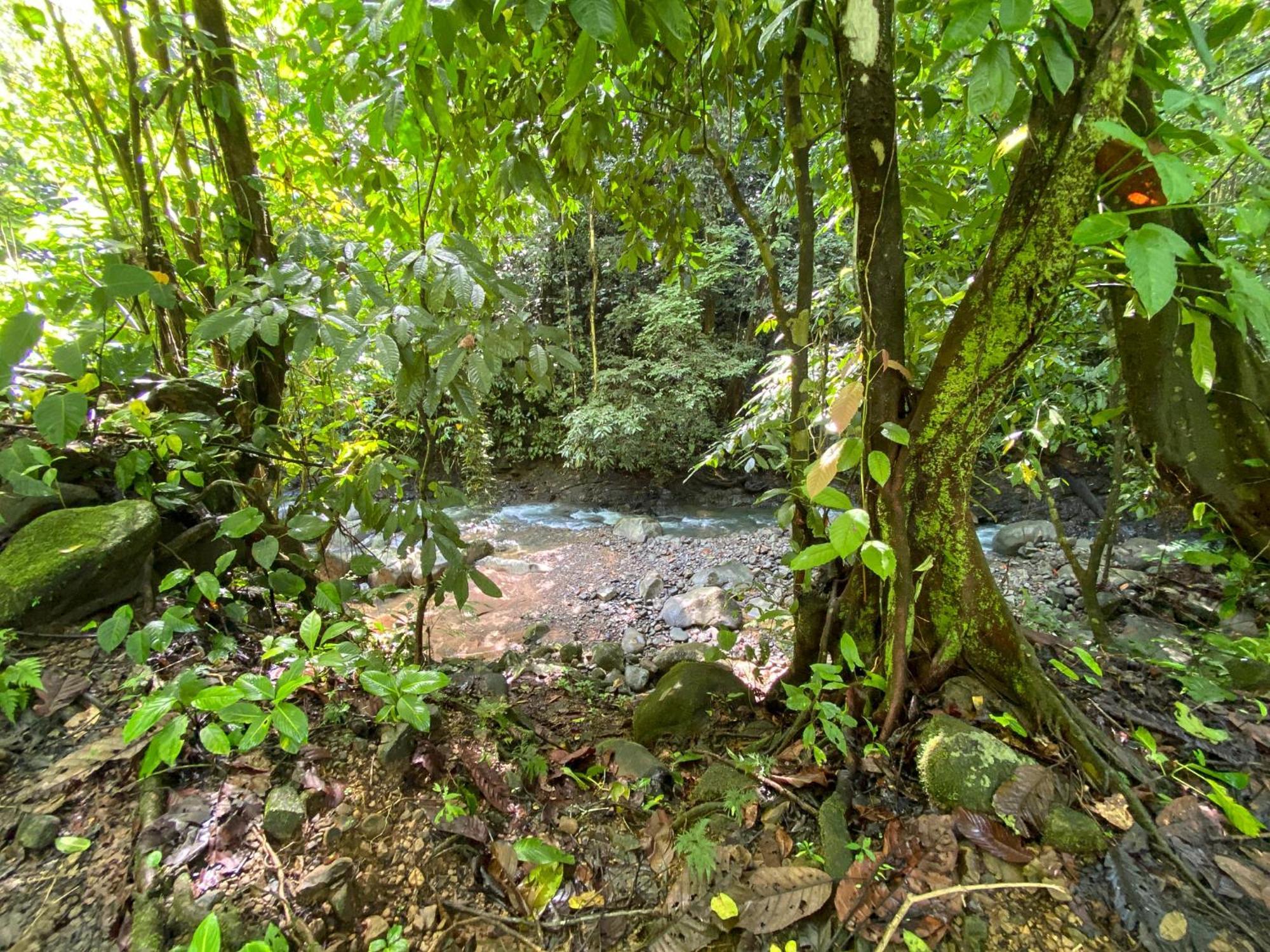 Casa River Stone Al Pie Del Rio Ojochal Eksteriør bilde
