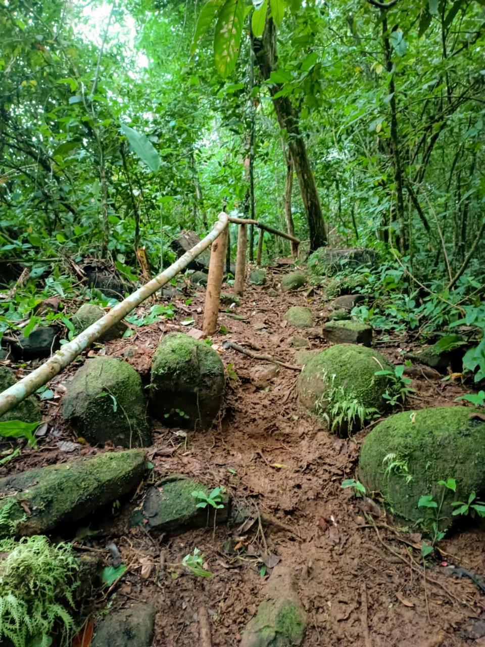 Casa River Stone Al Pie Del Rio Ojochal Eksteriør bilde